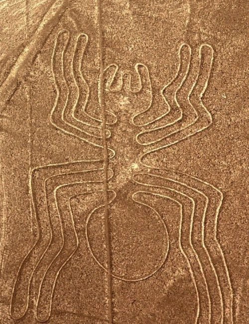 2aa16f0925e7a0c015f19ec1399b95fa